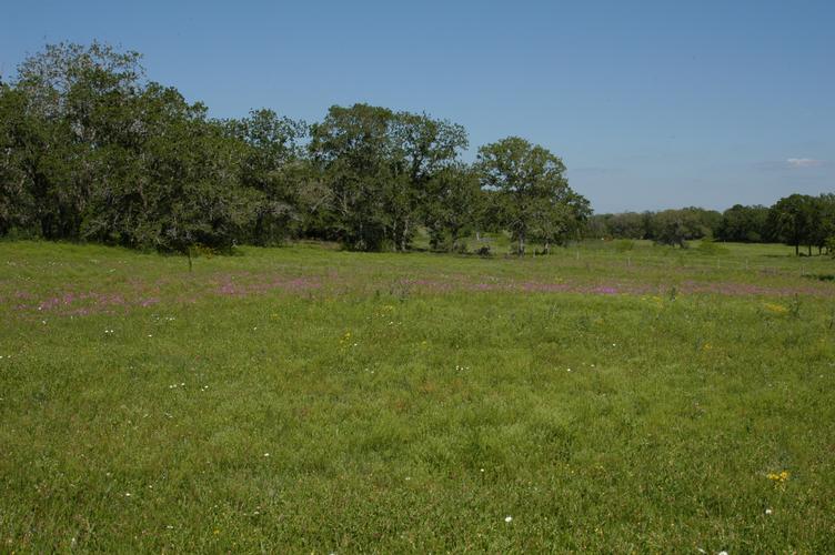 Land for Sale In Texas And Beyond